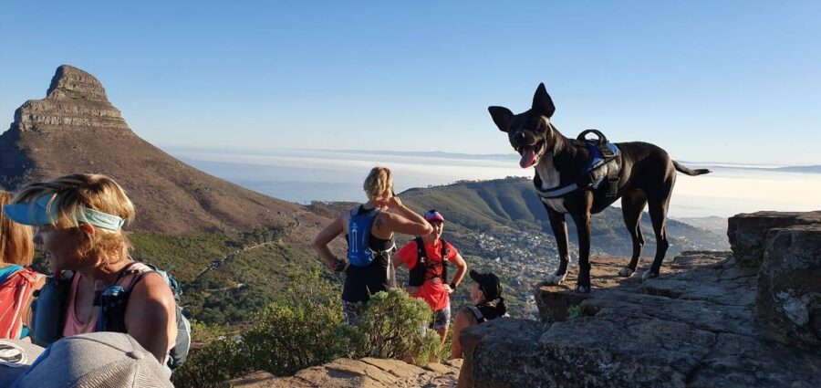 Bryony McCormick and Khaya, adopted dog Khayelitsha animal clinic