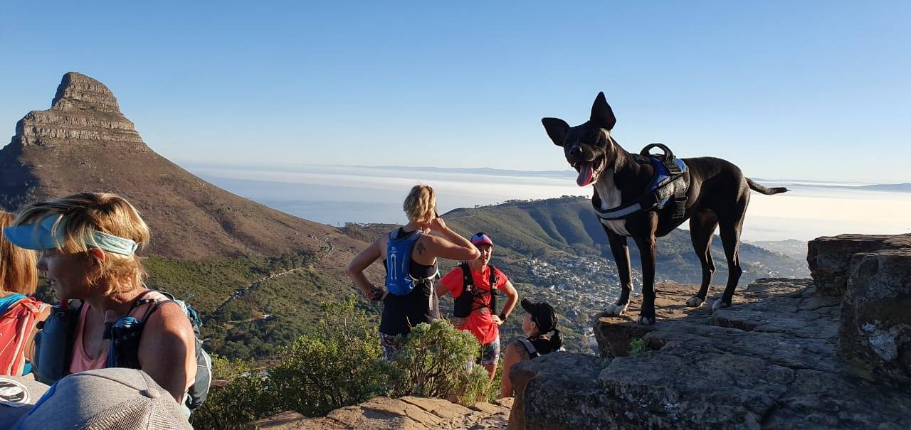 Bryony McCormick and Khaya, adopted dog Khayelitsha animal clinic