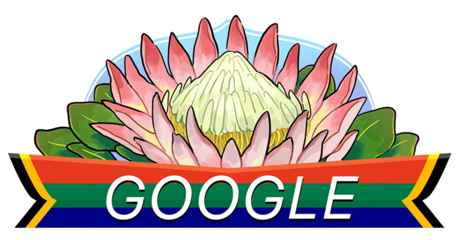 google-doodle-freedom-day