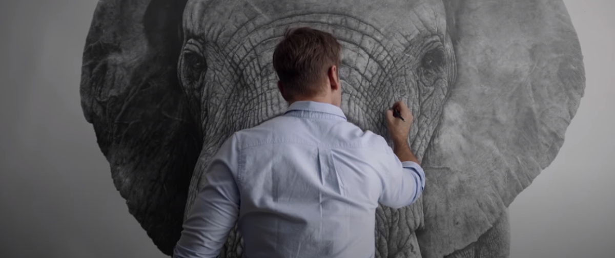 elephant pencil drawing david filer