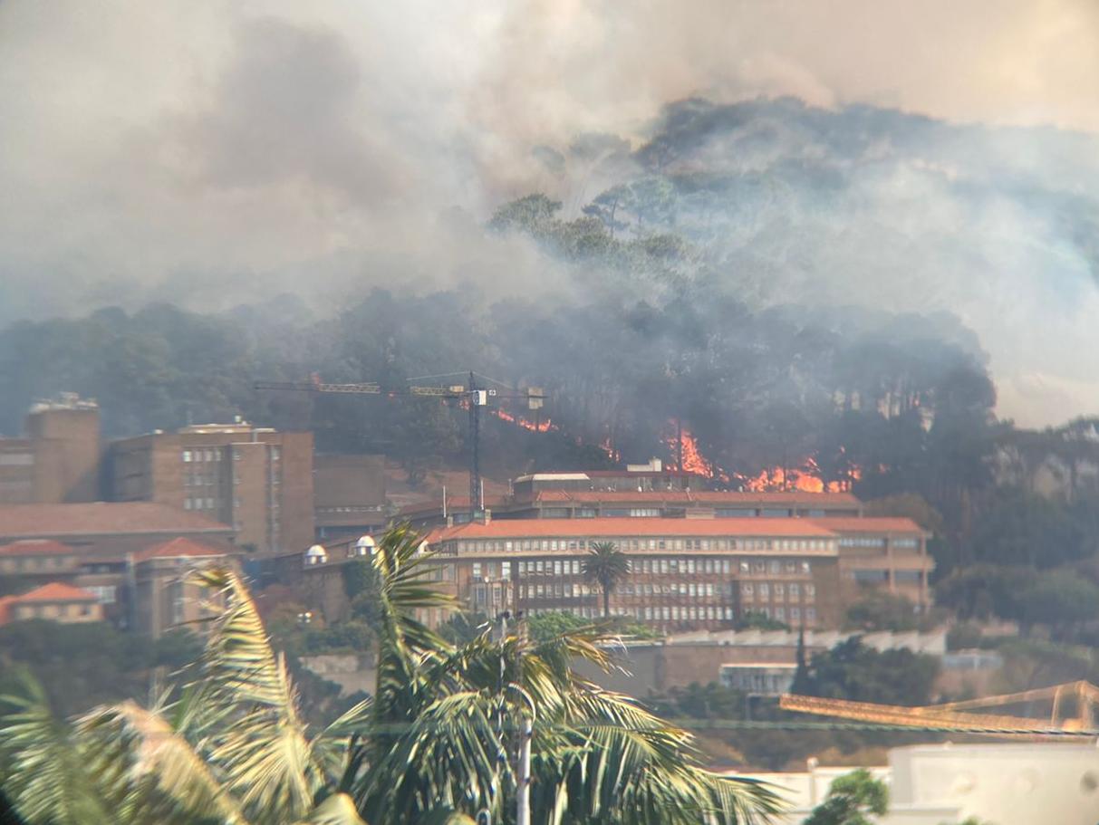 Table mountain fire newslands