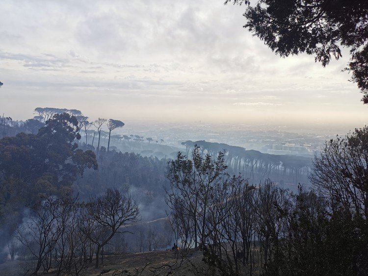 A Table Mountain fire has destroyed buildings and left Devil’s Peak burnt.