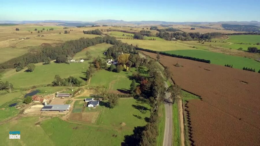 DA condemns farm attack near Estcourt