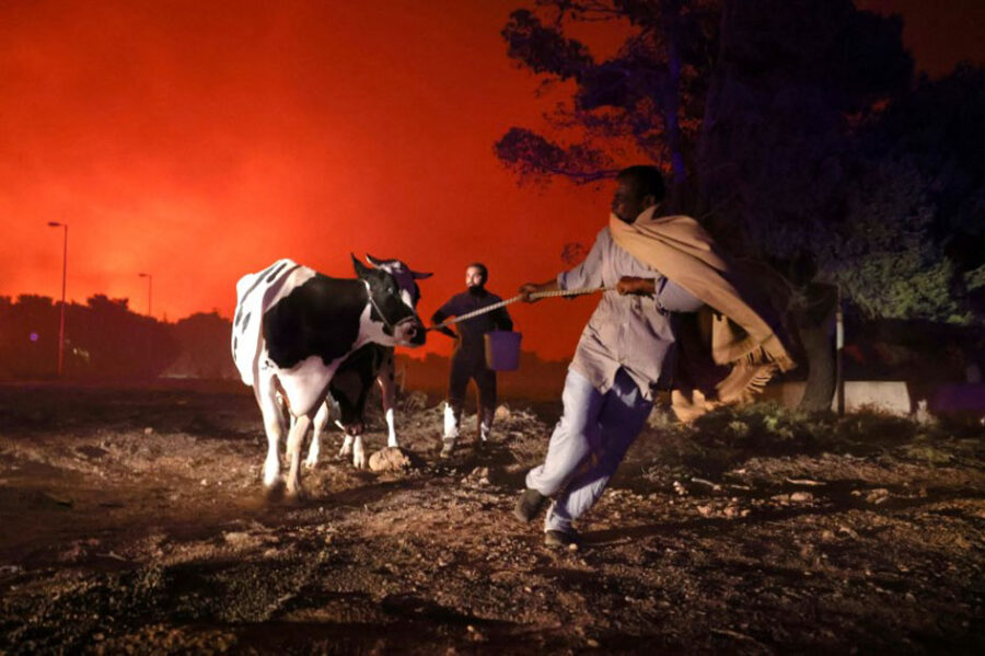 Greek wildfires August 2021