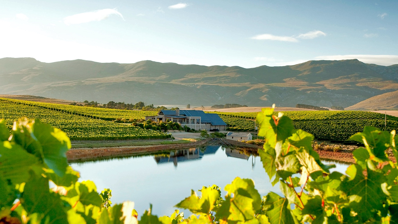 Creation best vineyard South Africa top 10 world