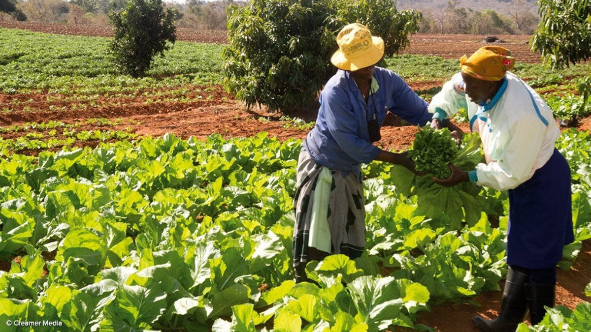 farming south africa