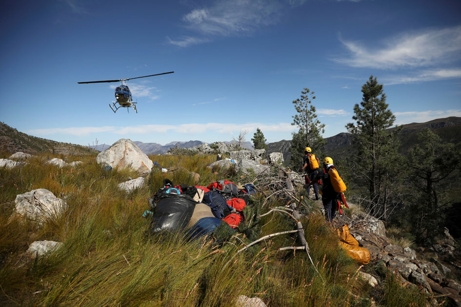 Invasive vegetation removed from South Africa's Franschhoek mountains