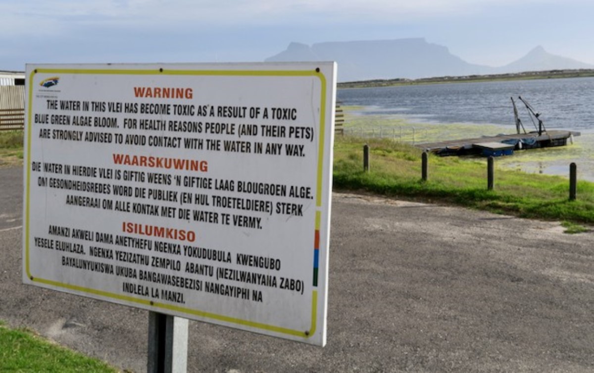 New data shows how badly polluted Cape Town’s vleis
