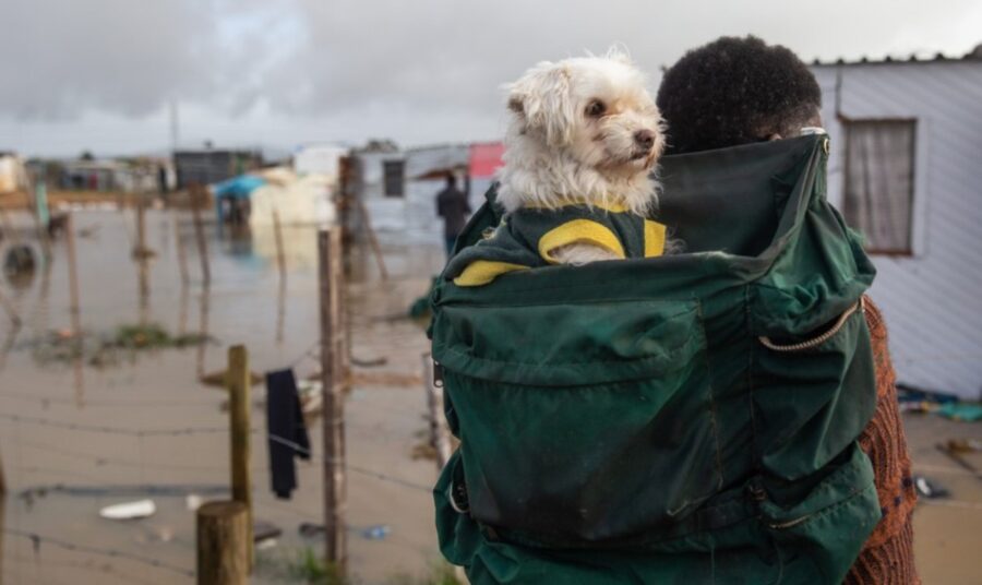 Paul Josephs and his dog after heavy rains flooded the homes of shack dwellers