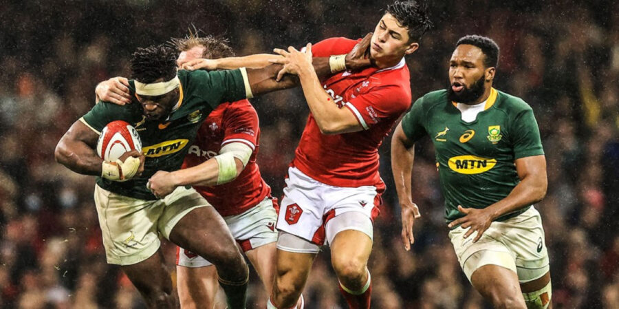 The Springboks are scheduled to face Wales in three Test matches in the Castle Lager Incoming Series in July, before hosting the All Blacks and Argentina in the Castle Lager Rugby Championship in August and September, SA Rugby confirmed on Tuesday.