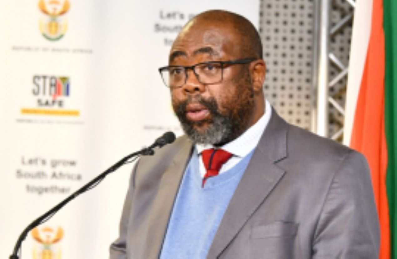 Thulas Nxesi - undocumented foreigners