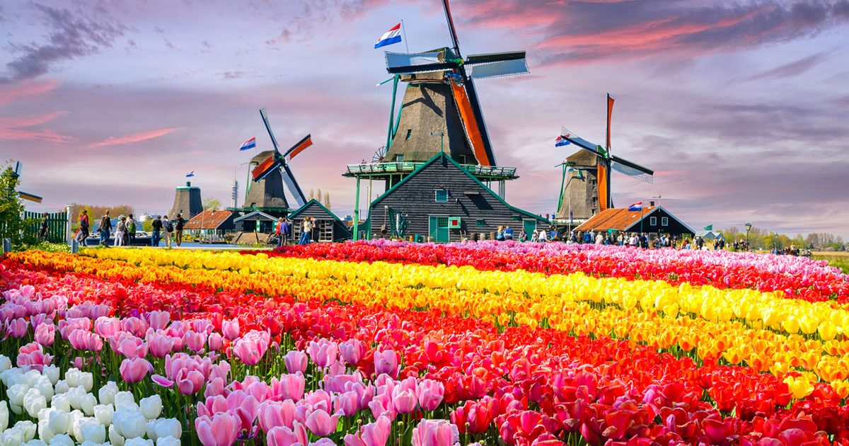 Netherlands Eases Restrictions for Travellers from South Africa. Photo: iStockPhoto