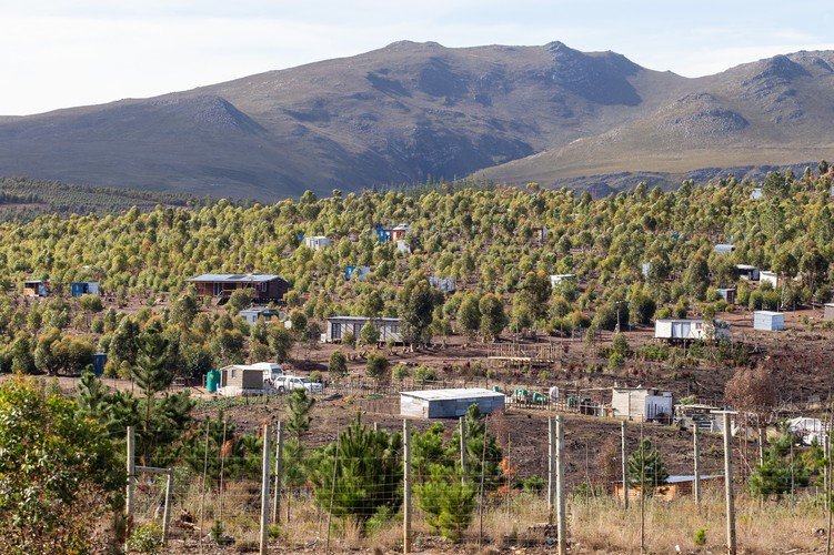 First occupied in November 2020 in order to establish a self-sustaining “sovereign Khoisan community”, Knoflokskraal near Grabouw in the Western Cape is home to thousands of people.