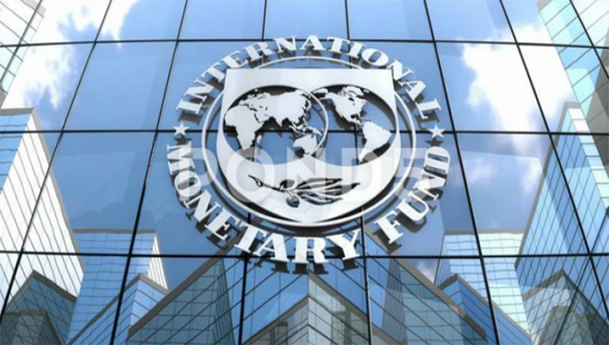 Treasury Notes IMF SA Economy Assessment