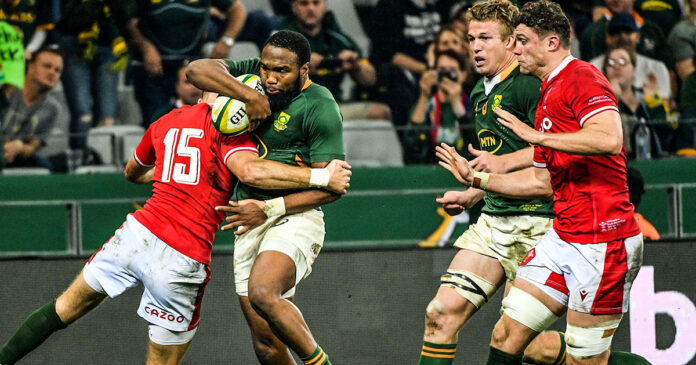 Why the Springboks vs Wales clash is so important - SA People