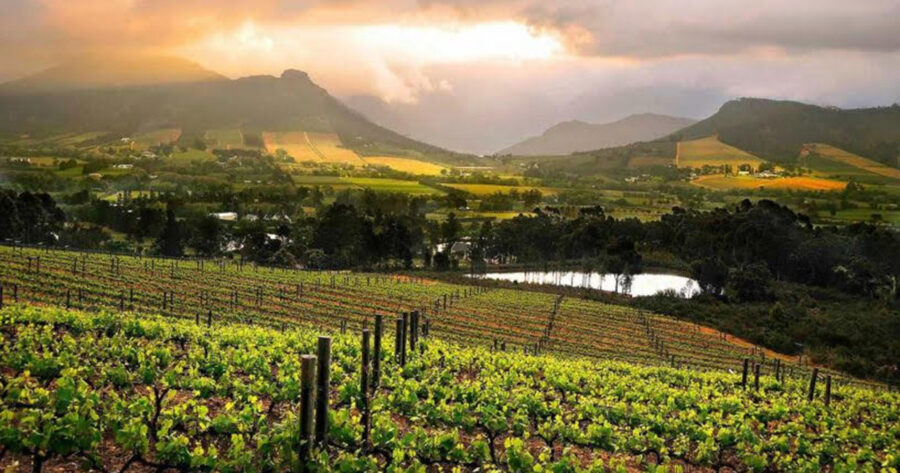 Time Magazine Selects FRANSCHHOEK for its 'World's Greatest Places' List for 2022. Picture supplied