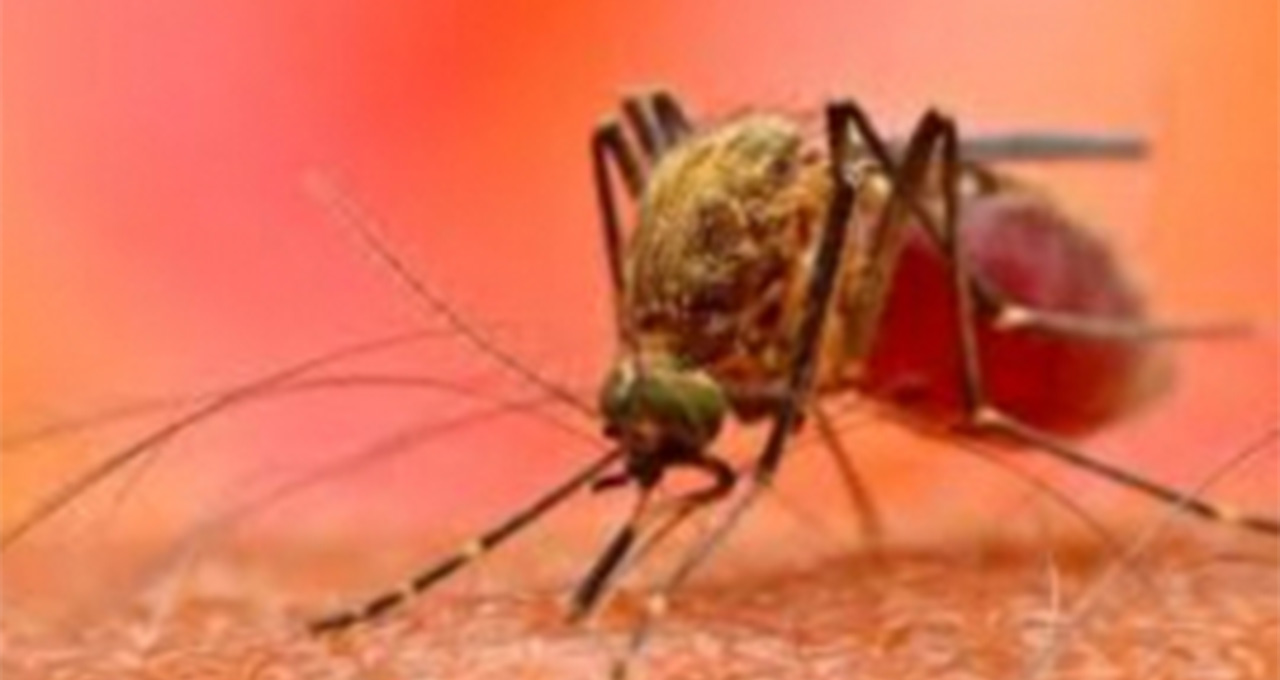 Eliminating malaria remains top priority