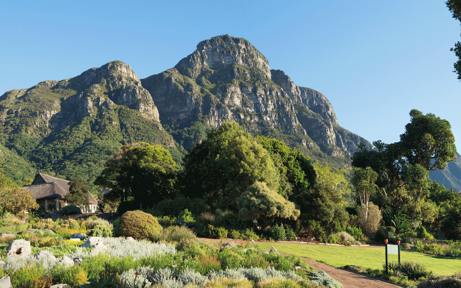 Kirstenbosch awarded Best Botanical Garden Award