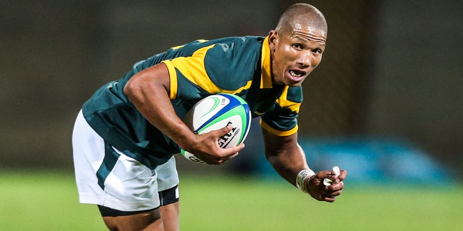 Springboks backs RWC selection