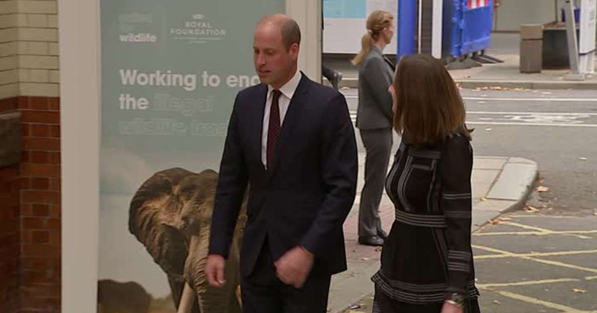 Prince William Pays Tribute to Queen and Late SA Ranger in Wildlife Speech