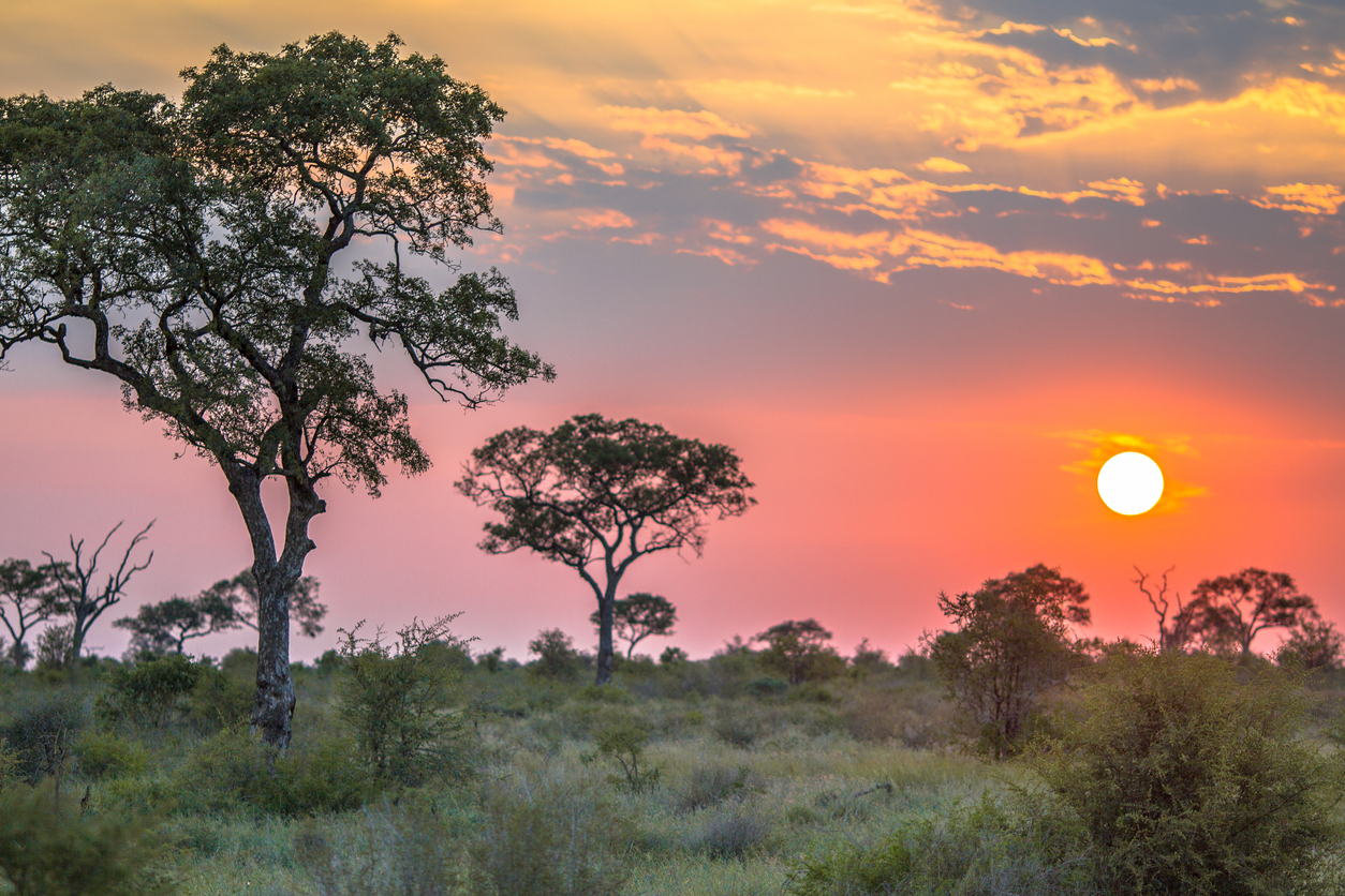 Kruger National Park sunset