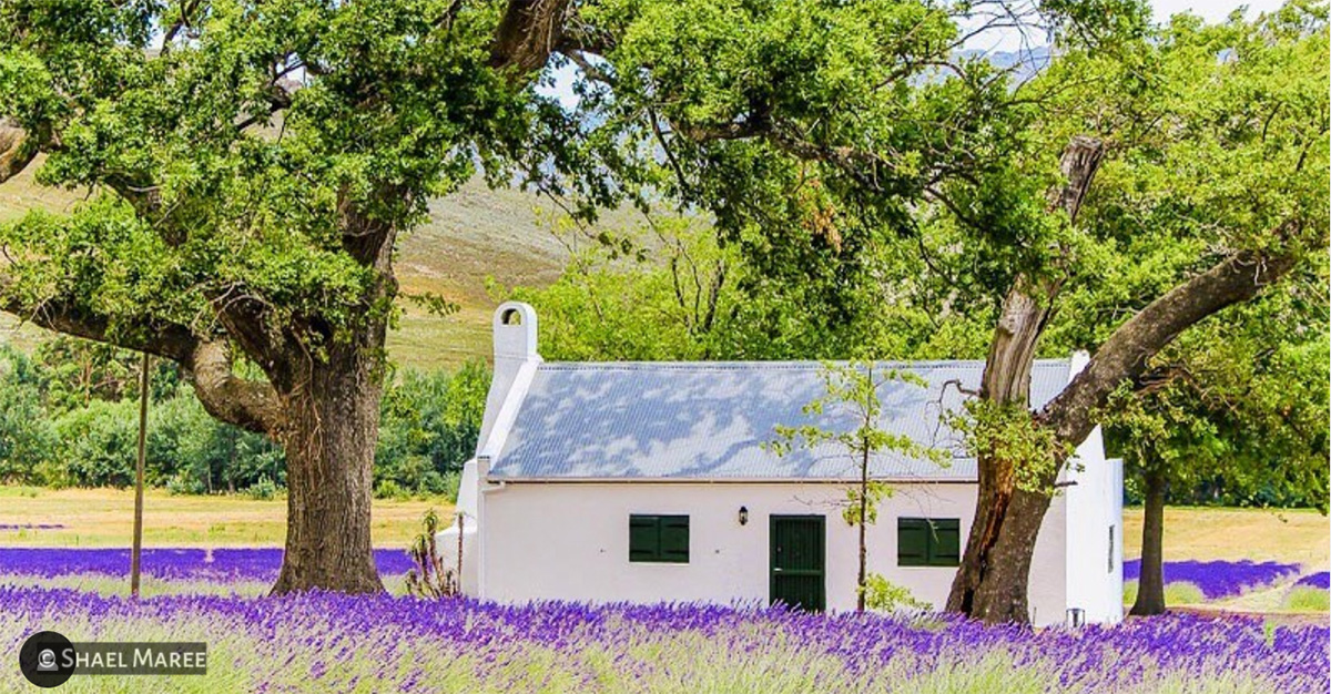 SA Michelin-Star Chef's JAN Franschhoek