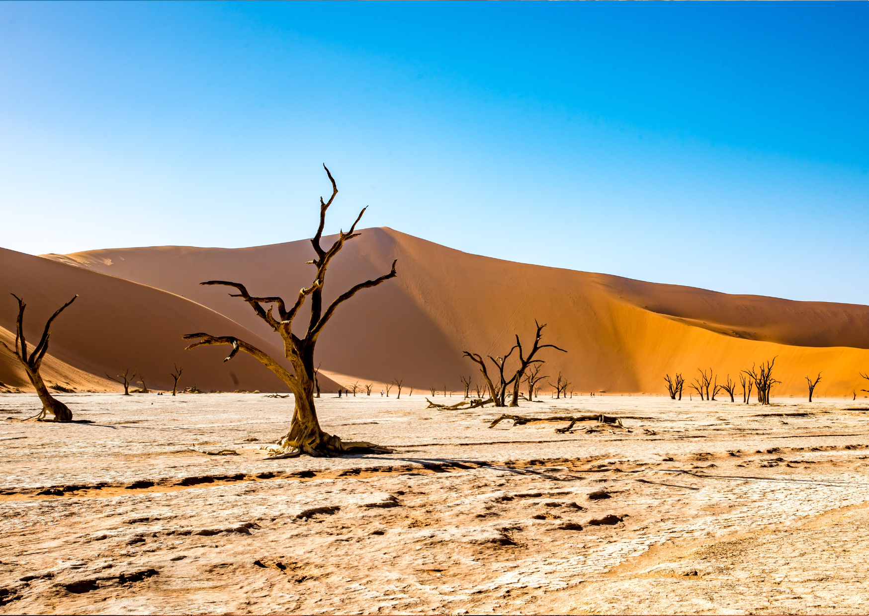 Namibia, Africa, Climate Change, African Nature-Based Tourism Platform