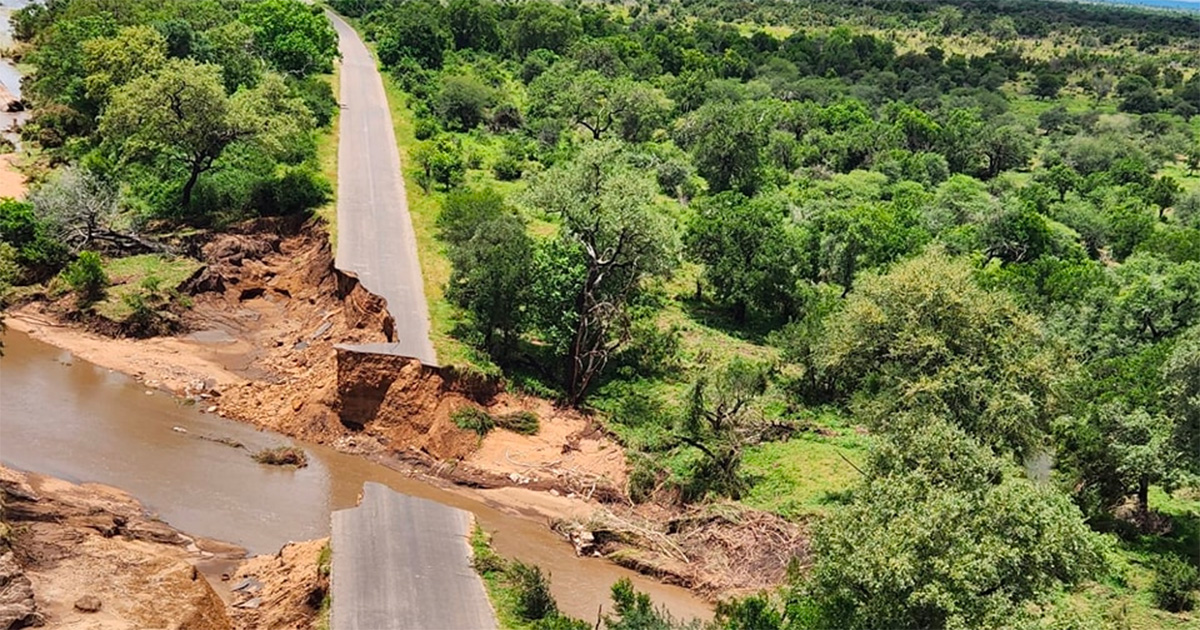 Kruger Park closes some remote camps and evacuates staff members due to week of rain