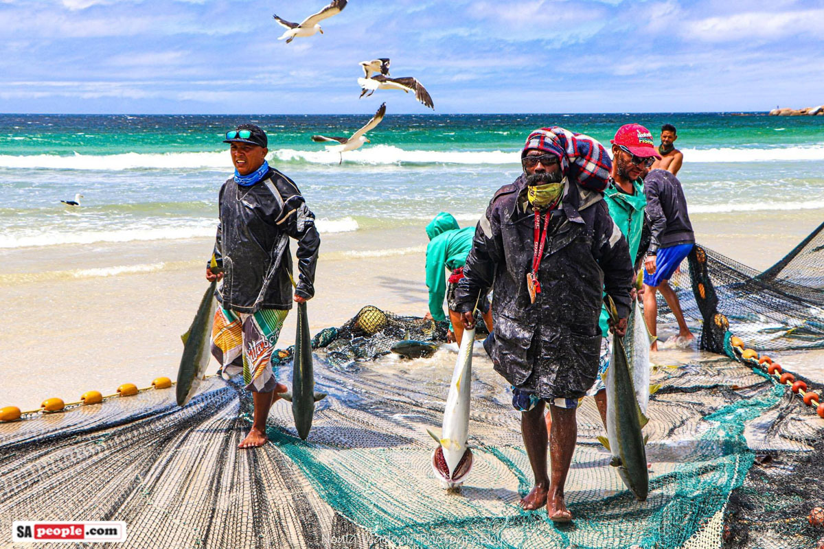 Trek fishermen of Fish Hoek with Yellowtail
