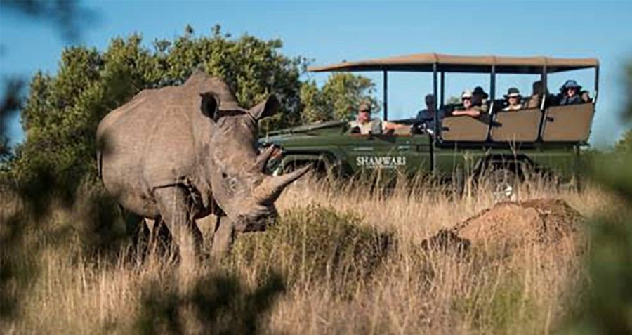 Wildlife conservation jeopardised by rising costs in South Africa