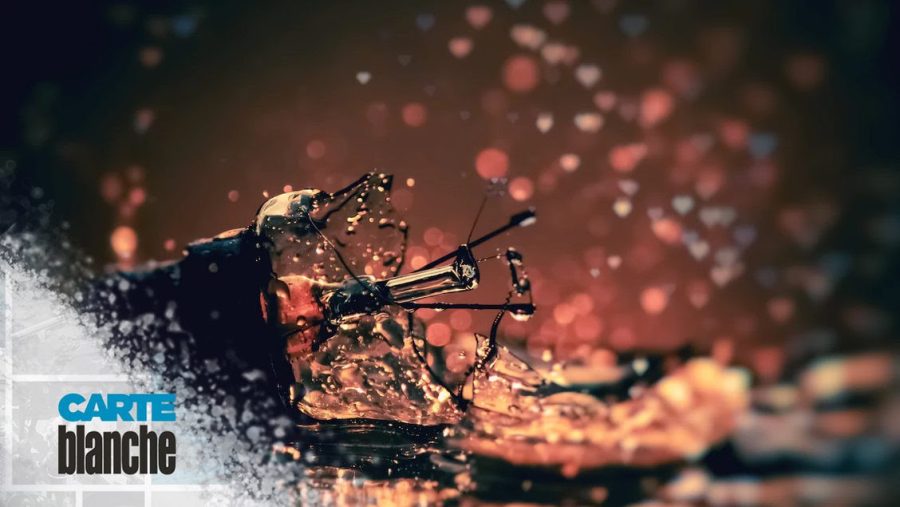 Carte Blanche celebrates Mark Pilgrim, a radio legend whose courage won South African hearts