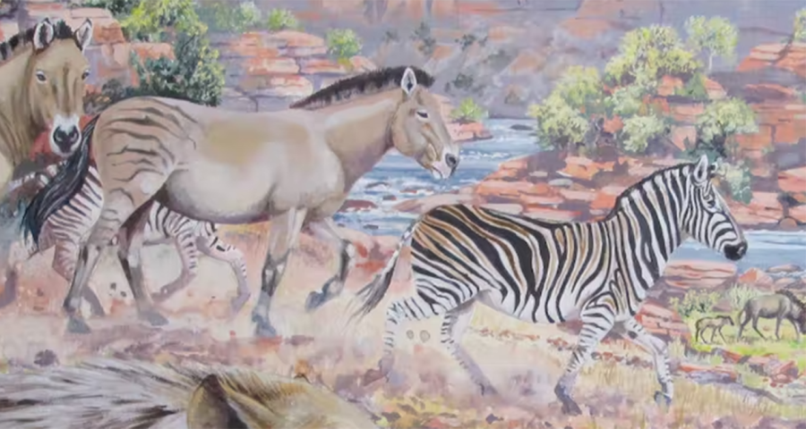 New discovery: fossilised giant zebra tracks found in South Africa