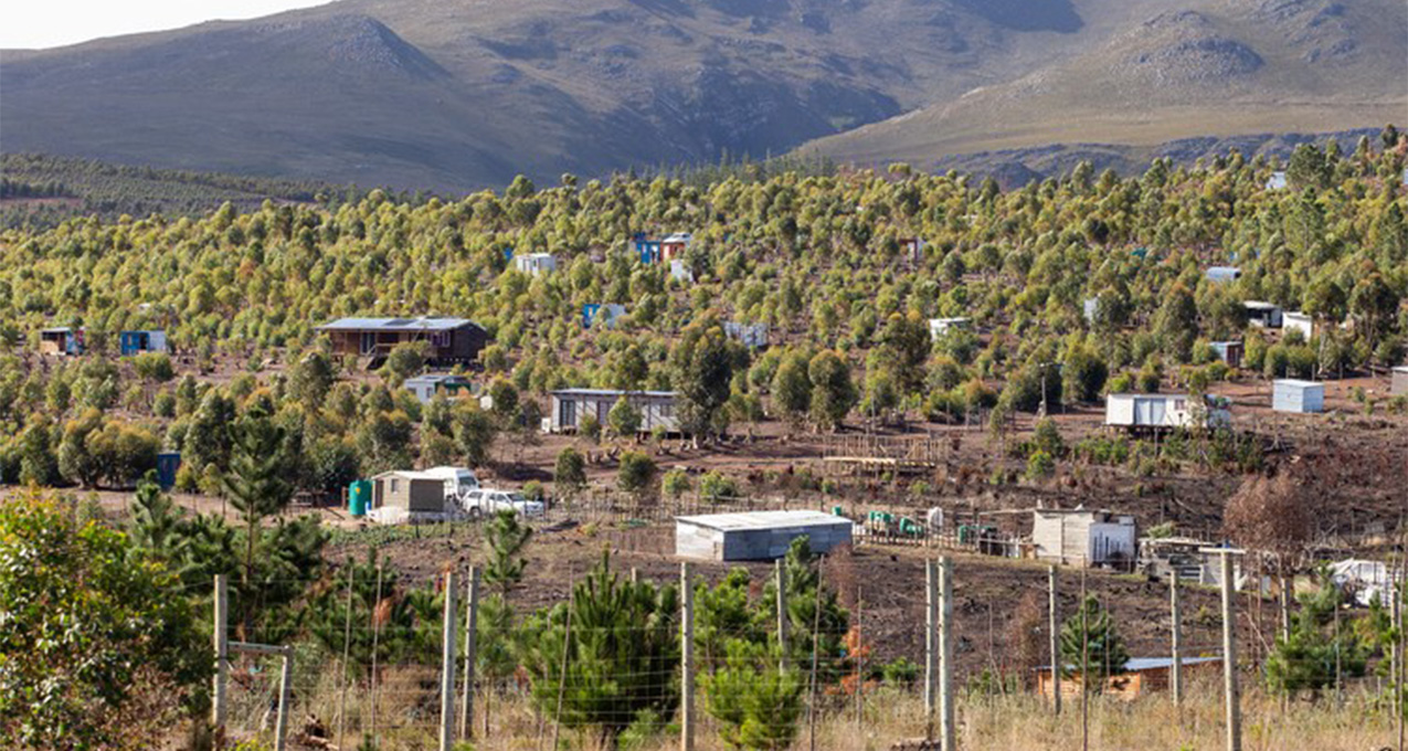 Khoisan occupation in Grabouw is no longer our problem says forestry department