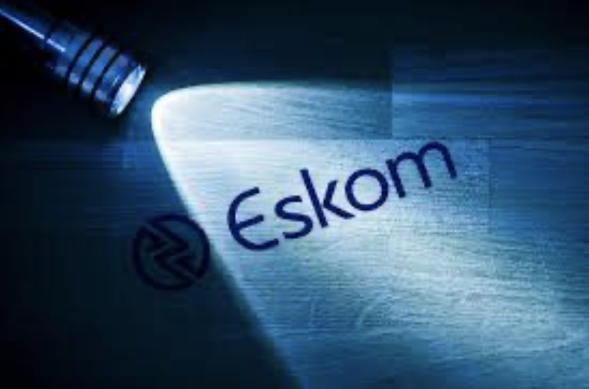 Eskom vs Special Investigating Unit SIU - National Treasury Budget Speech