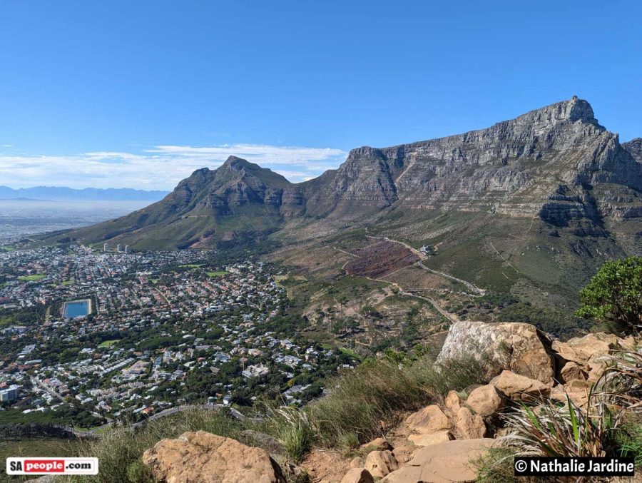 signal hill pickpockets