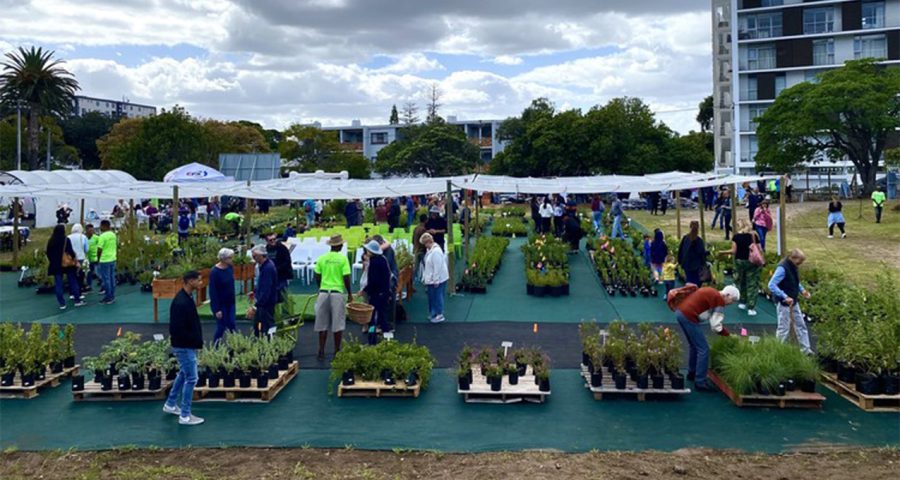 Indigenous plant nursery run by homeless people brings new life to vacant land in Claremont