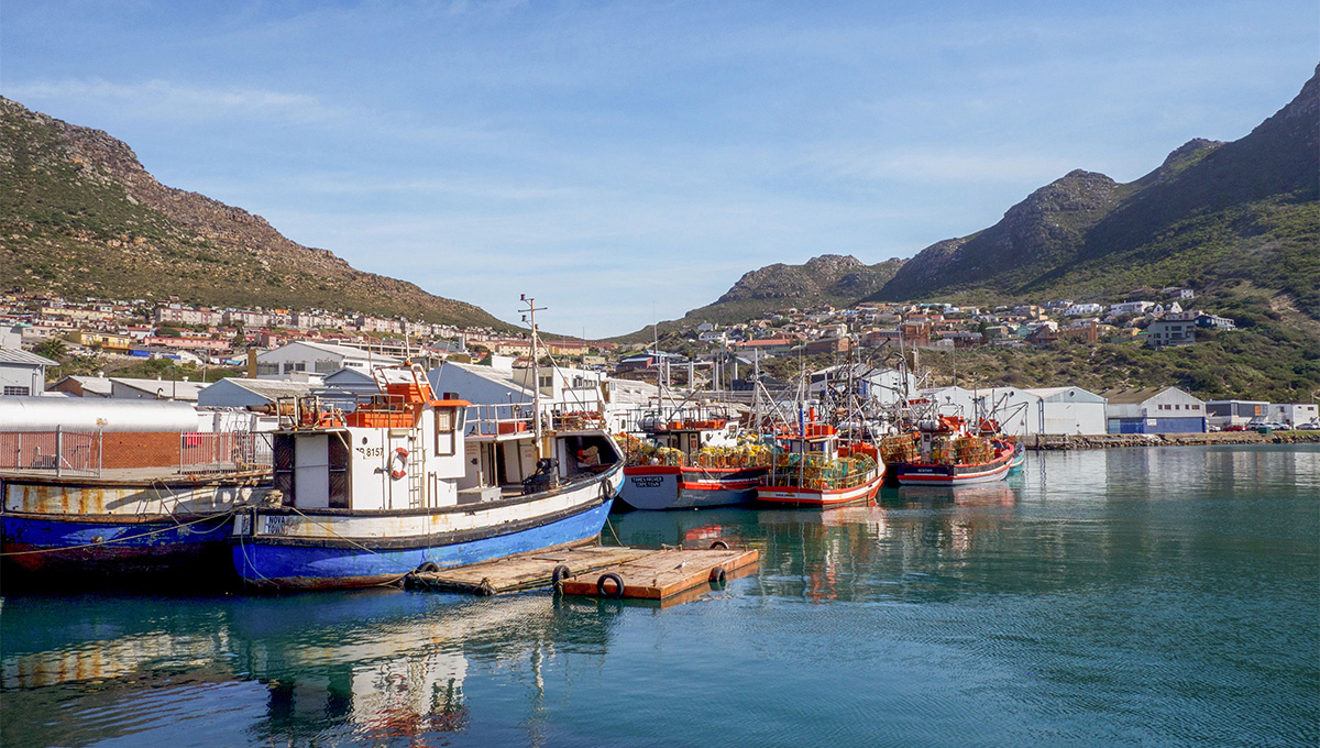 Check out these things to do in Hout Bay.