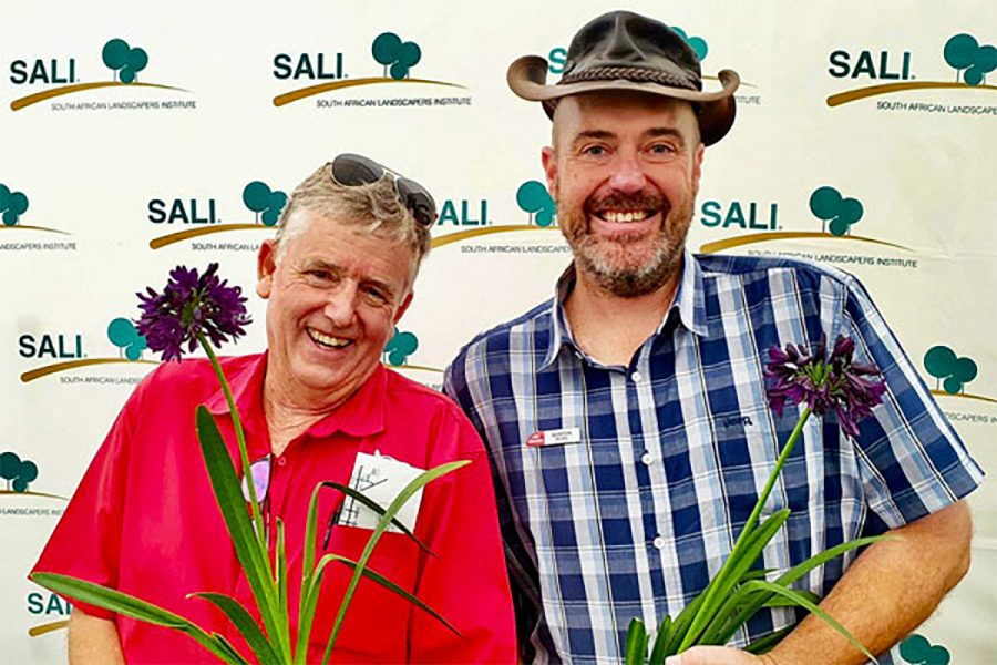 South African plant wins at Chelsea Flower Show: Agapanthus BLACKJACK