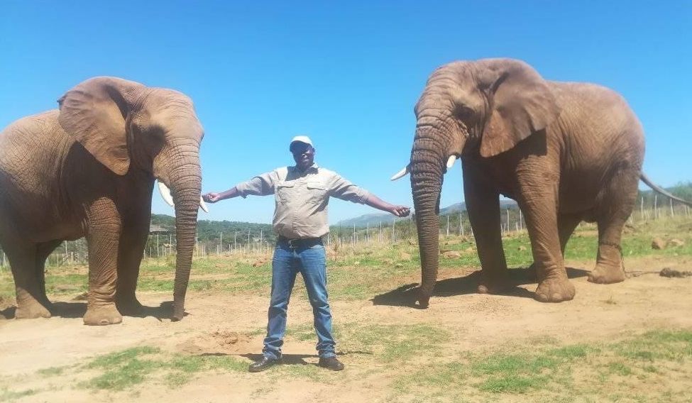 Safari ranger tragically trampled and killed by elephant in South Africa