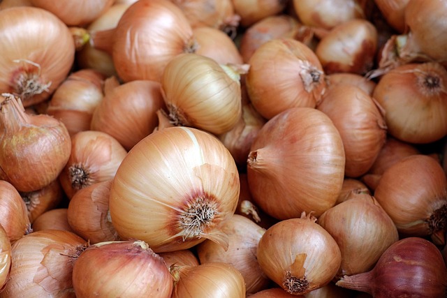 Onions StatsSA