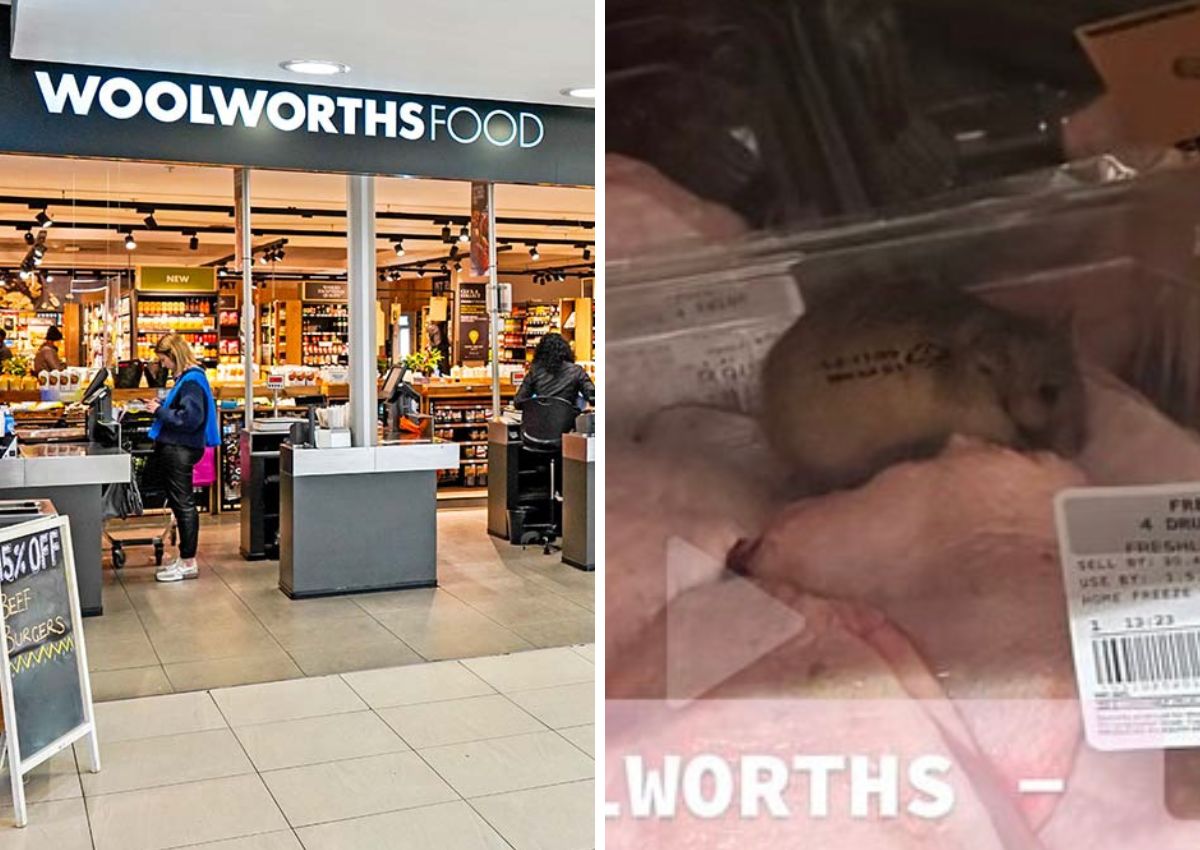 Woolworths rat