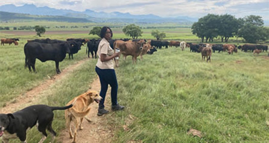 Revived farm scoops presidential award