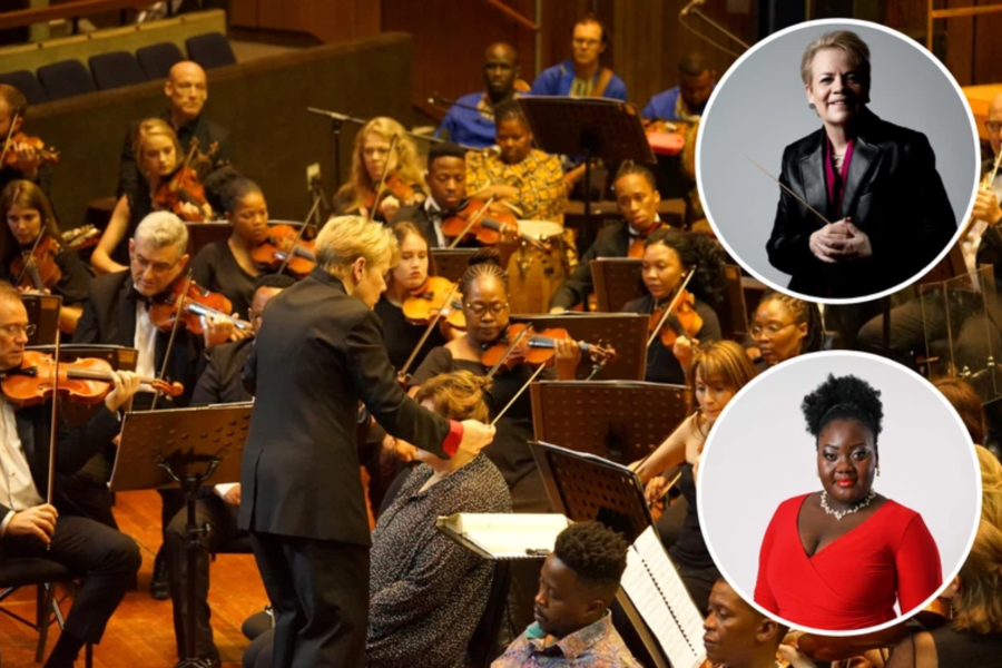 Mzanzi National Philharmonic Orchestra