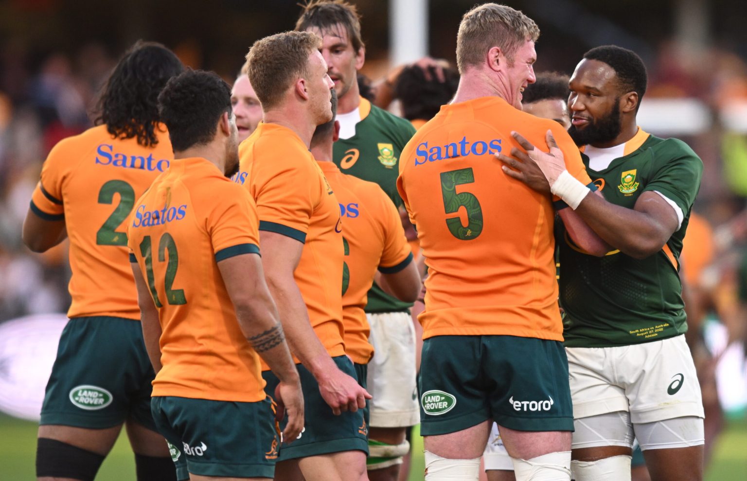 Springboks Skipper Search Down To Two Names