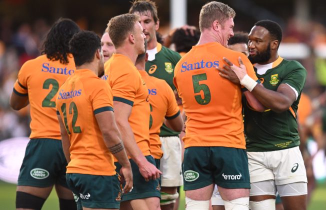 Springboks Vs Wallabies Test CONFIRMED - SA People