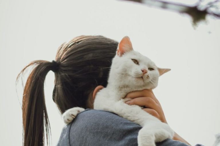 What diseases can humans catch from their cats?