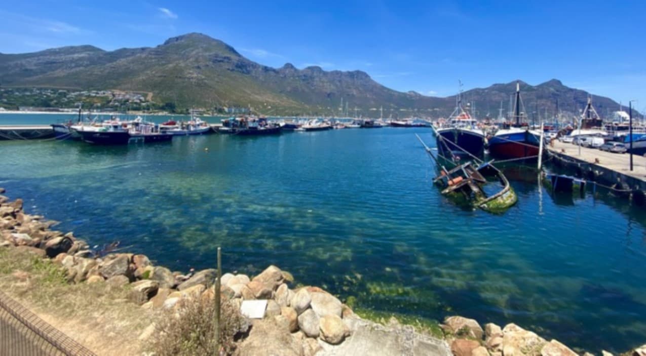Minister promises new lease of life for Hout Bay harbour