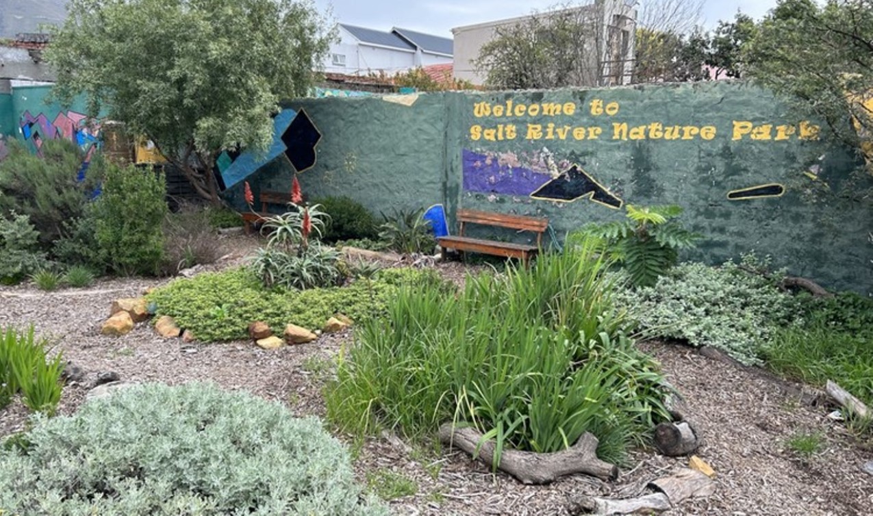 Community gardens bloom from vacant lots in Salt River