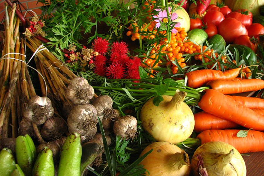 Christina Kaba vegetable farming