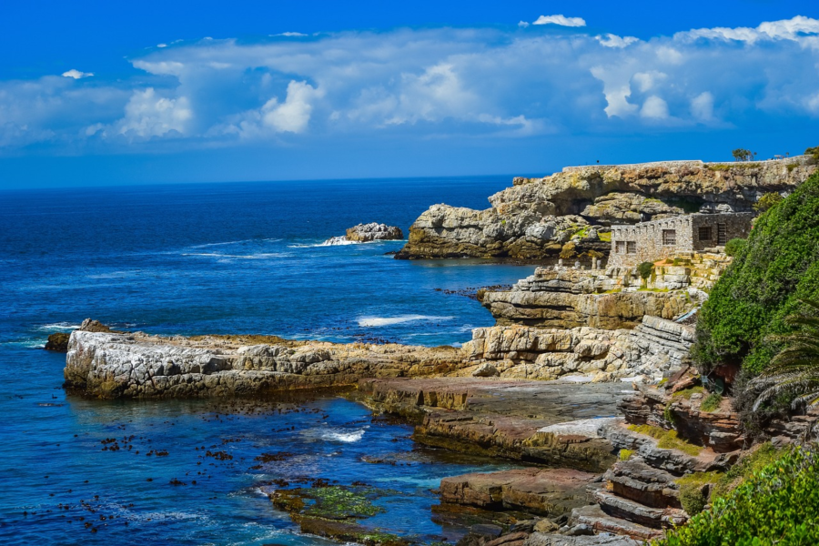 Hermanus semigration south africa